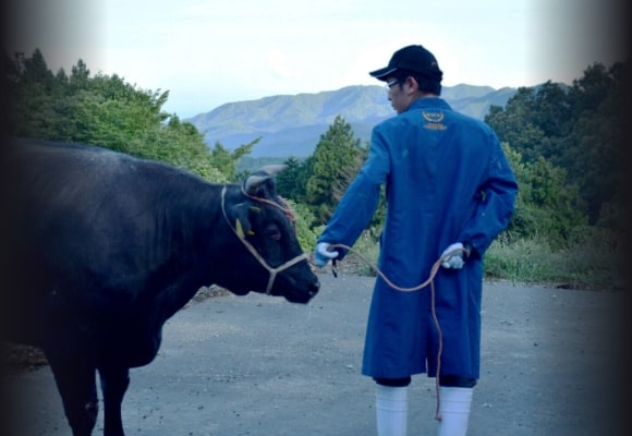 受賞歴多数、日本最高峰の黒毛和牛